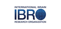 Ibro logo